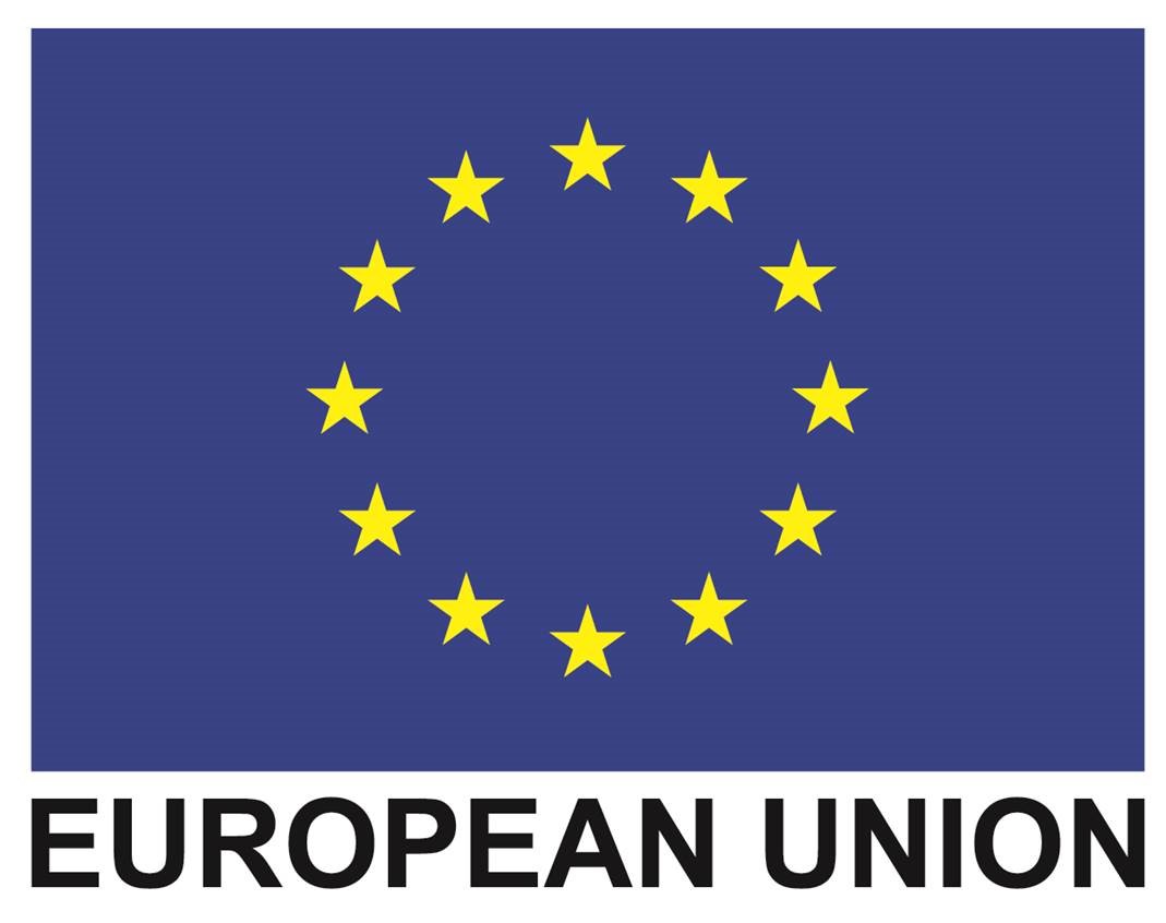 EU Logo